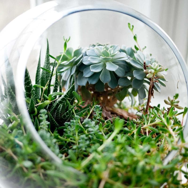 Geometric Planter
